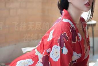 秀人网 - 飞往无尽的想象：子纯儿的空姐在线写真合集！